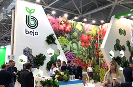 Bejo. ЮгАгро 2019. Краснодар